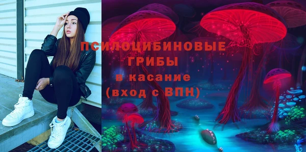 Альфа ПВП Зерноград